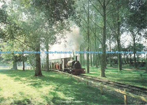 D263337 Cackler Thursford Collection Beric Tempest