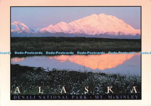 D258132 Alaska Denali Nationalpark Mt McKinley Arctic Circle Enterprises Fred H