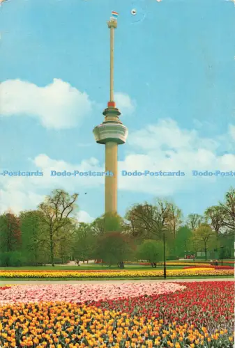 D255939 Rotterdam Holland Space Tower Euro Farbkarten