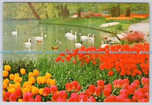 L356971 Keukenhof Lisse Holland Planeta L Blok