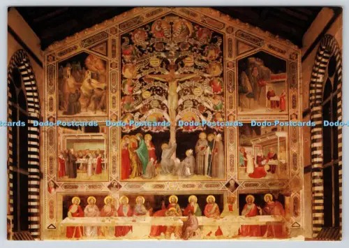 L356975 Firenze Museo di S Croce Alter Refektoriumsbaum der Heiligen Wurzel Giusti di S