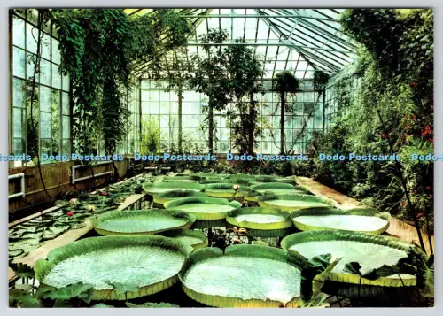 L356976 Verbania Pallanza Giardini Botanical di Villa Taranto Reggiori