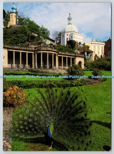 L354582 Wales The Hotel Portmeirion Peacock