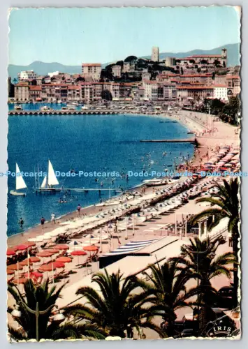 L354999 Cannes Panorama de la Plage du Port du Suquet La Cigogne 1959