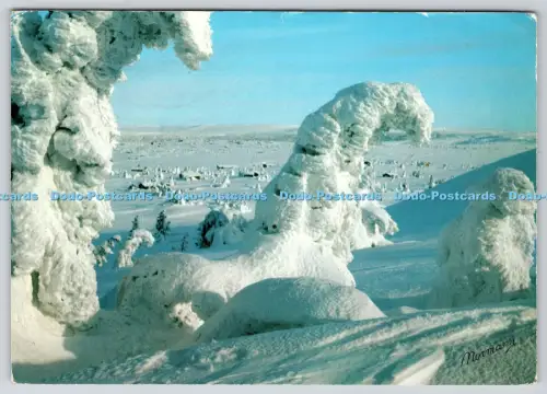 L358635 Norge Sjusoen pr Lillehammer Normann 1975