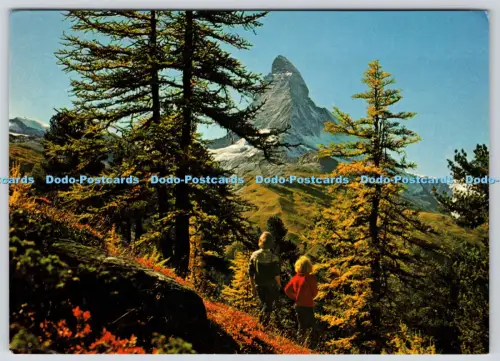 L357681 Matterhorn Zermatt Monographie Ad C Cravolin 1979