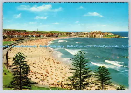 L357919 Sydney Bondi Beach John Engelander and Co Pty Ltd Krüger