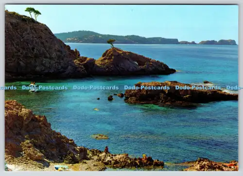 L357927 Mallorca Paguera Detalle de la Costa Postales Farbe Cyp