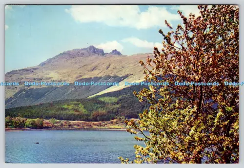 L357931 Argyll er Schusterberg bekannt als Ben Arthur J Arthur Dixon Ltd 1959