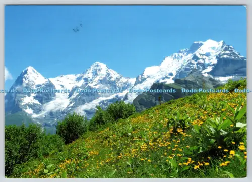 L359808 Murren Allmendhubel mit Eigermönch und Jungfrau Beatrice Gertsch