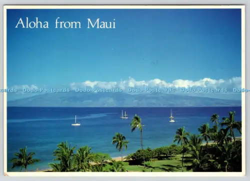 L359832 Aloha von Maui Insel Maui Hawaii Insel Erbe B Abraham PM Honol