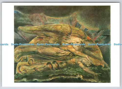 L359973 tate Elohim Creating Adam William Blake W Graham Robertson
