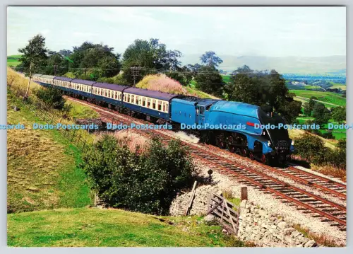 L360228 Nr 4498 4 6 2 Sir Nigel Gresley A4 Class Pacific ex L N E R J Salmon Sev