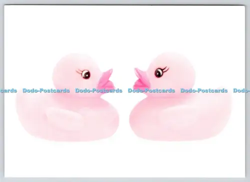 L360236 Enten Die Postkarte Stoire