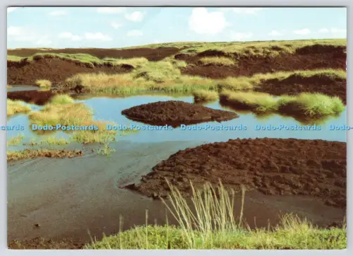 L360298 Derbyshire Kinder Scout Pedley Bild Mike Williams