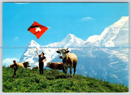 L360299 Berner Oberland Murren Rowesa