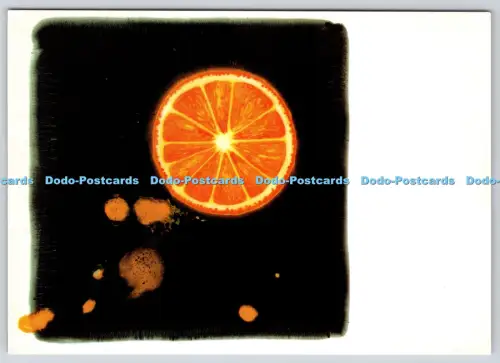 L360390 The Orange Clare Petherick Boomerang
