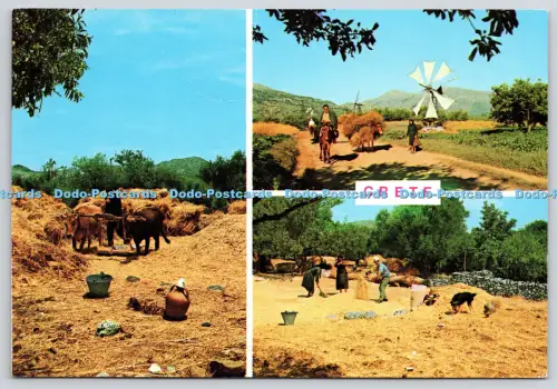 L360558 Crete Rural Life G Loucatos Soph Raphaelakis Multi View