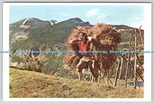 L360746 Norwegen Heuren bei Geiranger Eberh B Oppi Gautneb Rodsten Knutsen