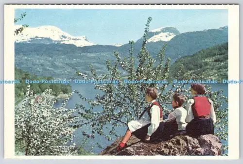 L360747 Norwegen Kinder in Nationalkostümen Ulvik in Hardanger Eberh B Oppi Gau