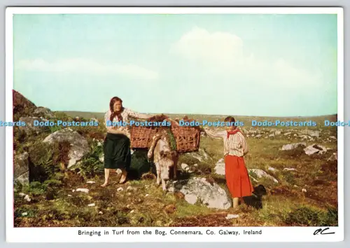 L360749 Irland Connemara Co Galway bringt Rasen aus dem Moor Holzdruck