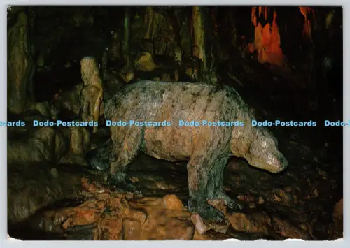 L360501 Petralona Höhle Rekonstruktion von Ursus Deningeri Recos