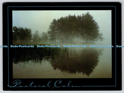 L363090 Pastoral Calm Athena International Tony Stone