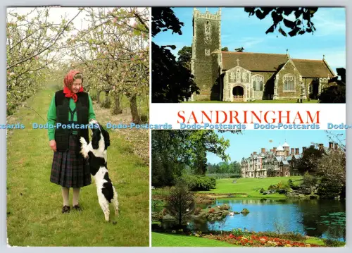 L363097 Sandringham Ihre Majestät die Königin mit Trixie bei der Sandringhamfrucht F