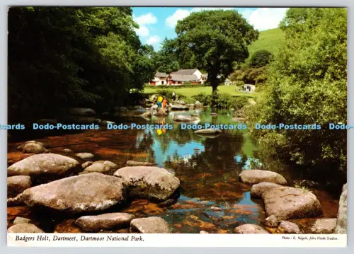 L363104 Dartmoor Nationalpark Dartmeet Badgers Holt John Hinde Ltd E Ludwig