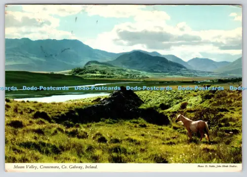 L363119 Ireland Co Galway Connemara Maam Valley John Hinde Ltd D Noble
