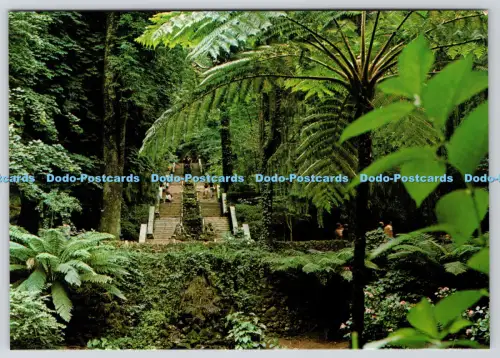 L363390 Portugal Bussaco Floresta H Alexandre d Almeida Lda