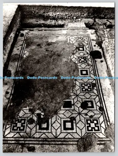 L363559 Fishbourne Roman Palace Black and White Mosaic David Baker RP