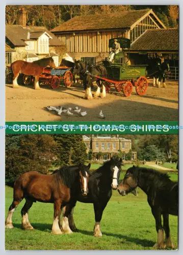 L363667 Cricket St Thomas Shires Wild Life Park J Salmon Sevenoaks Kent England