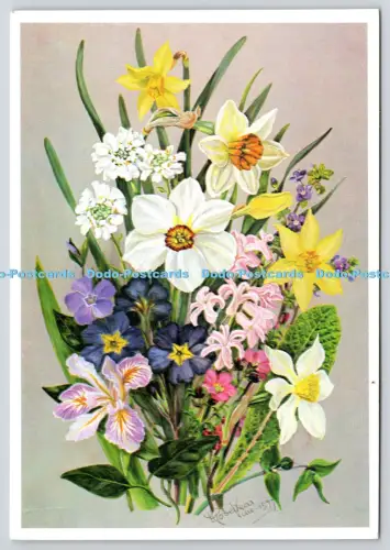 L363694 Frühlingsblumen M Rosenvear Rebe The Medici Society London