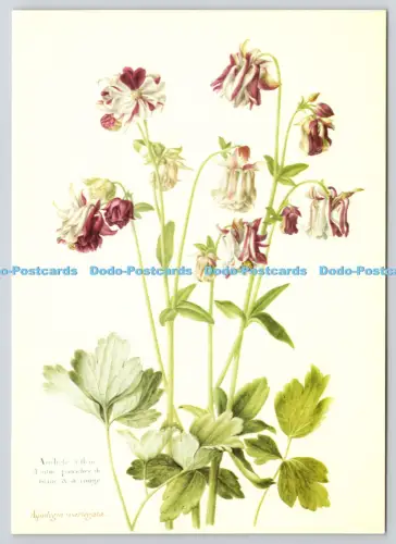 L363699 Nicolas Robert Gartenakelei Wolfrum