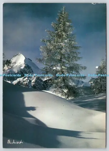 L363751 Aiguille de Trelatete Monte Bianco M Michiardi
