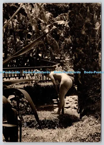 L363867 Femme dans un Jardin Marocain Bernard Rouget Visage Photographhique du M