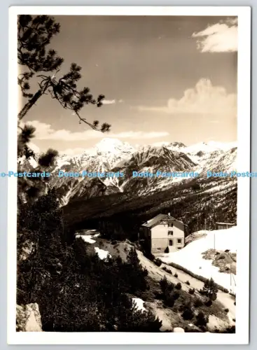 L363901 Gasthaus Susom Gyve Ofenbergpasshöhe Blick auf Ortler R Gras