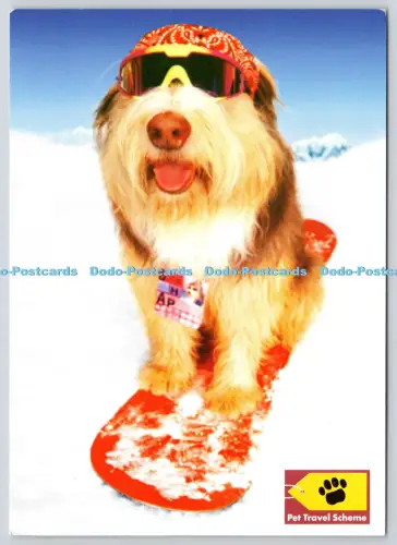 L364127 Hunde Haustier Reiseschema