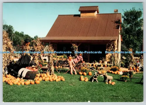 L364160 Vermont Manchester Equinox Valley Nursery Mitchell