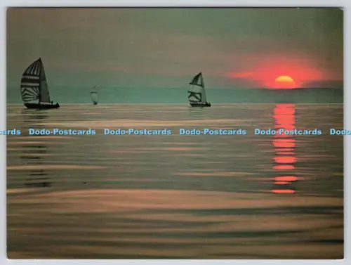 L364505 Sunset Sails Tony Stone Athena International