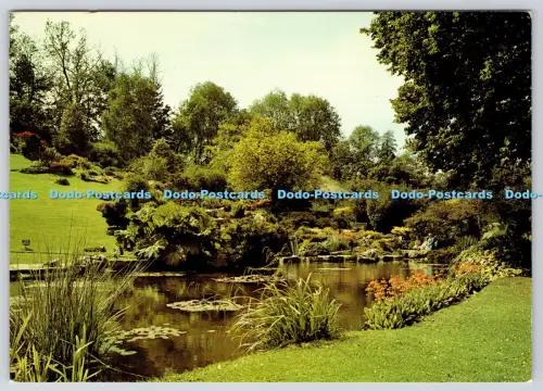 L364507 Sussex Brighton Preston Gardens The Rockery J Arthur Dixon