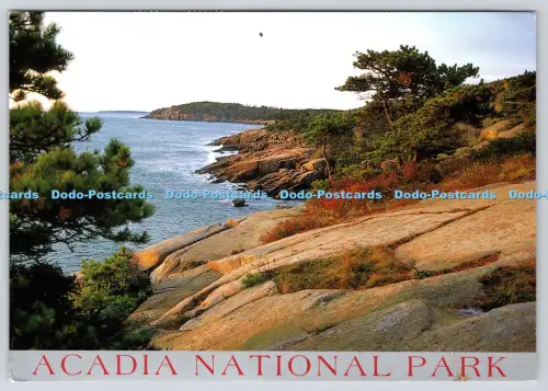 L364561 Acadia Nationalpark The Ocean Drive Ed Elvidge