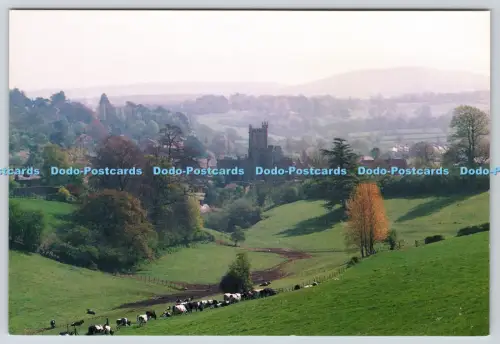 L364610 Somerset Crewkerne Thought Factory Brenda M Bickerton