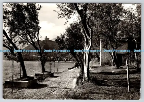 L364812 Lago d Iseo Monteisola negli Uliveti di Sensole Cart Vitali Iseo Bromofo