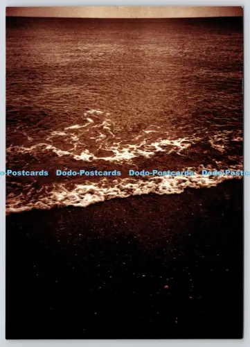 L364891 Das Meer Richard Jenkins