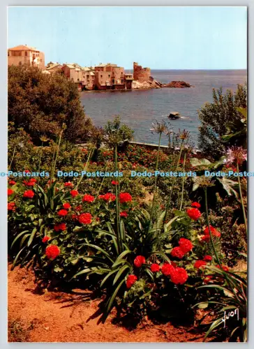 L364927 Le Cap Corse Erbalung Yvon Paris S P A D E M