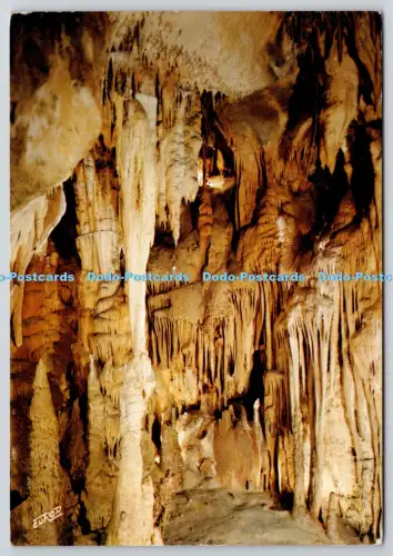 L364992 En Pays Basque Grottes d Isturitz et d Oxocelhaya Europ 1986