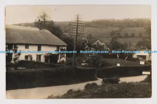 C033233 Tees Nr. Exeter. Nahe Fliederhaus. Devon. PM Kingsbridge. 1932