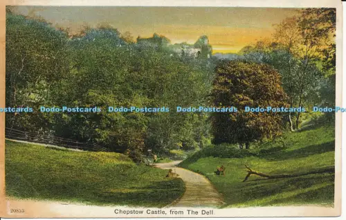 R048122 Schloss Chepstow von Dell